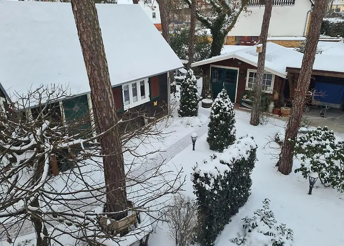 Vacation Home, Berlin