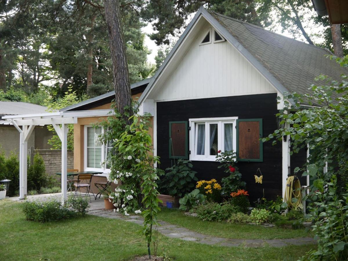 Vacation Home, Dom wakacyjny *
